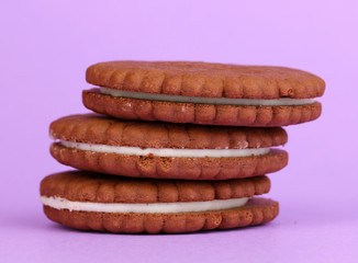Chocolate cookies with creamy layer on purple background