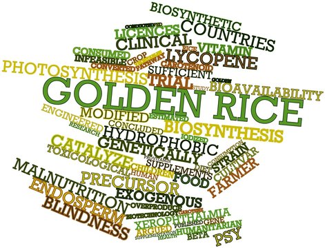 Word cloud for Golden rice