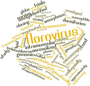 Word cloud for Norovirus