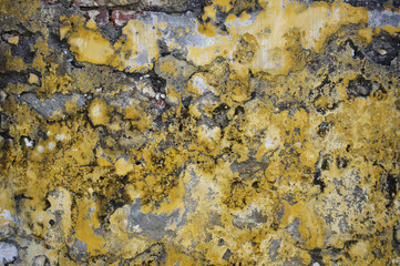 Grunge yellow wall