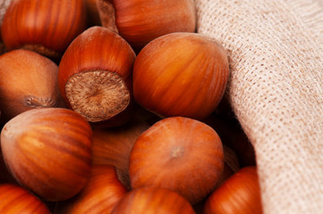 Ripe filberts