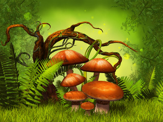 mushrooms fantasy forest