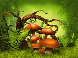  mushrooms fantasy forest © umnola