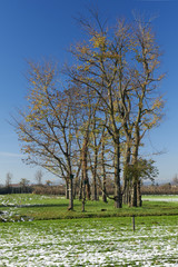 Obraz premium campagna