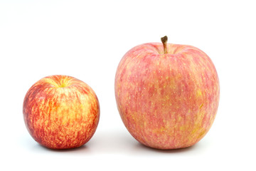 Fresh red apple on white background