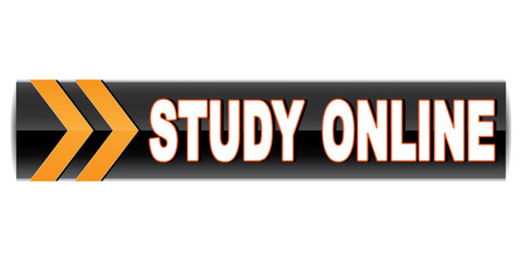 STUDY ONLINE ICON