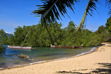 nosy be  rock stone branch boat palm lagoon and coastline