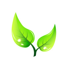 branch with leaves and rain drops (vector)