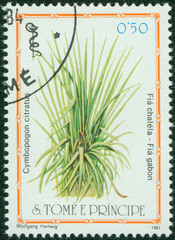 stamp shows herb cymbopogon citratus