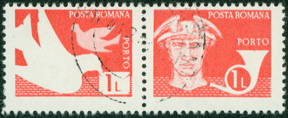 stamp printed by Romania, shows Pigeons