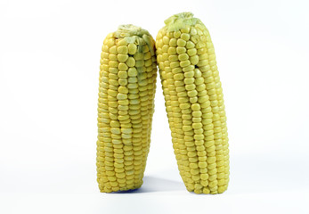 Corn