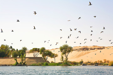 LE NIL EGYPTE