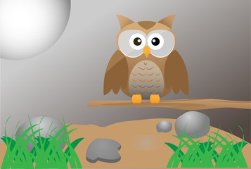 Brown Cute Owl