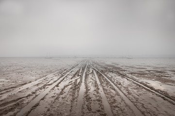 Obraz premium Sea Fog