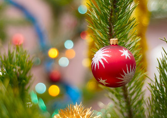 Fototapeta na wymiar Christmas ball on the pine
