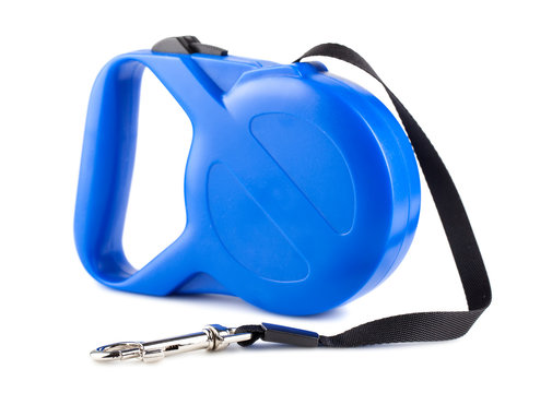 Blue Retractable Leash For Dog