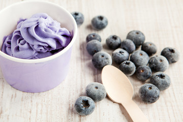 Frozen creamy ice yoghurt  with whole blueberries