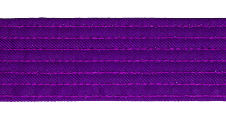Karate Purple Belt