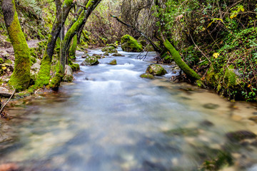 River Majaceite © David Acosta Allely