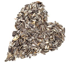 Sunflower seeds
