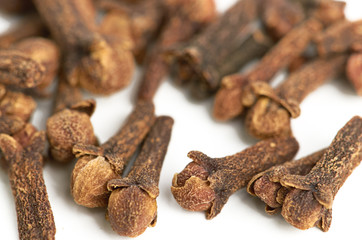 cloves against white background