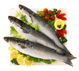 Cefali - Grey mullet