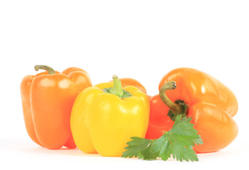 fresh pepper vegetables isolated on white