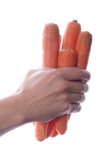 Raw food © brianholm