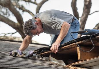 Man Examining and Repairing Rotten Leaking House Roof - 47640102