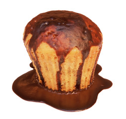 Homemade cupcake with chocolate isolated on white.