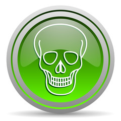 skull green glossy icon on white background
