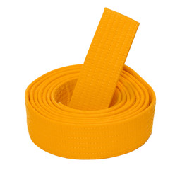 Coiled Karate Orange Belt