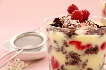 Chocolate Raspberry Trifle