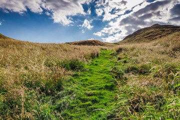 Footpath lead to the hill in Scotland