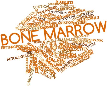 Word cloud for Bone marrow
