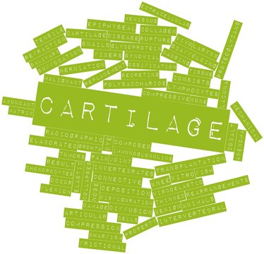 Word cloud for Cartilage