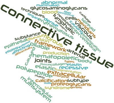 Word cloud for Connective tissue