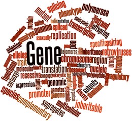 Word cloud for Gene