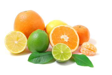 Zitrusfrüchten - citrus fruits