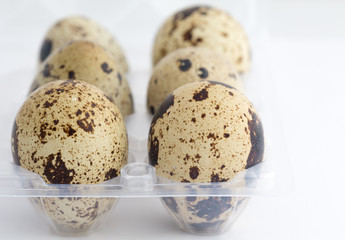 quail eggs on egg box