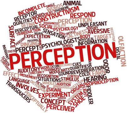 Word cloud for Perception