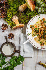 Fresh out of the woods mushroom soup