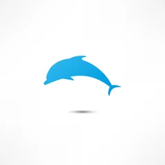Abwaschbare Fototapete Delfine Delfin