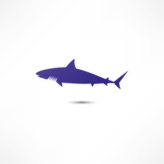 Shark icon