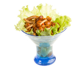 agaric honey at plate