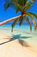 Obraz na płótnie Canvas Tropikalna plaża