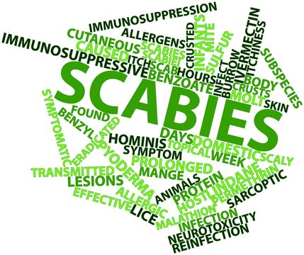 Word cloud for Scabies