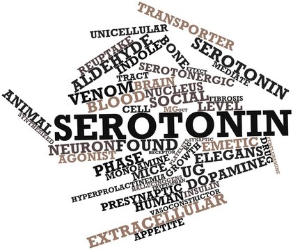Word cloud for Serotonin