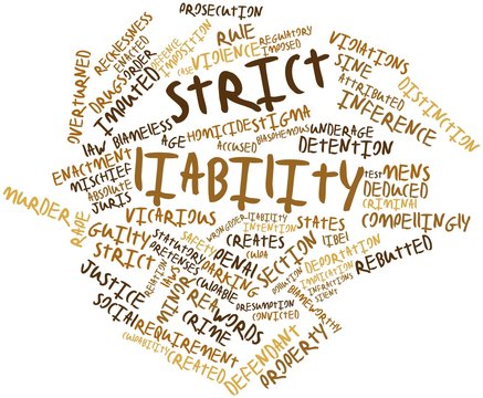 Word cloud for Strict liability