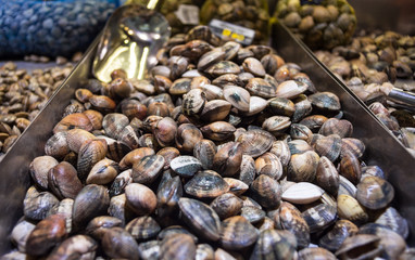 Clams at marketplace
